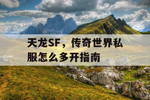 天龙SF，传奇世界私服怎么多开指南