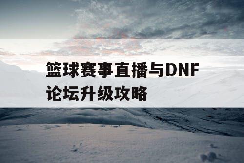 篮球赛事直播与DNF论坛升级攻略