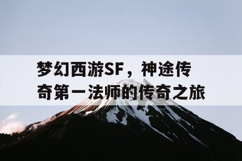 梦幻西游SF，神途传奇第一法师的传奇之旅