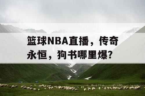 篮球NBA直播，传奇永恒，狗书哪里爆？