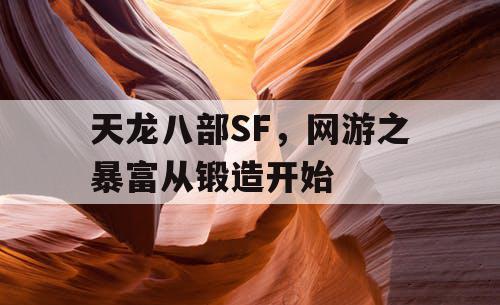 天龙八部SF，网游之暴富从锻造开始