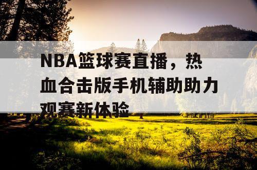 NBA篮球赛直播，热血合击版手机辅助助力观赛新体验