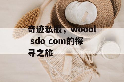 奇迹私服，woool sdo com的探寻之旅