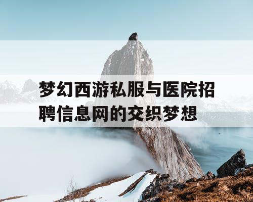 梦幻西游私服与医院招聘信息网的交织梦想