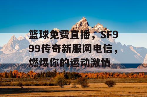 篮球免费直播，SF999传奇新服网电信，燃爆你的运动激情