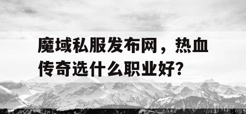 魔域私服发布网，热血传奇选什么职业好？