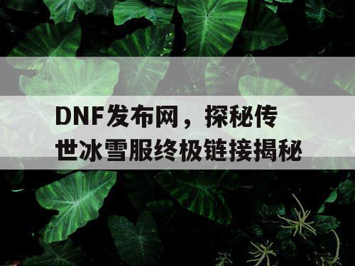 DNF发布网，探秘传世冰雪服终极链接揭秘