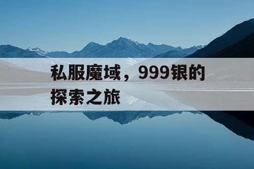 私服魔域，999银的探索之旅