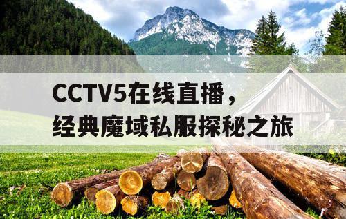 CCTV5在线直播，经典魔域私服探秘之旅