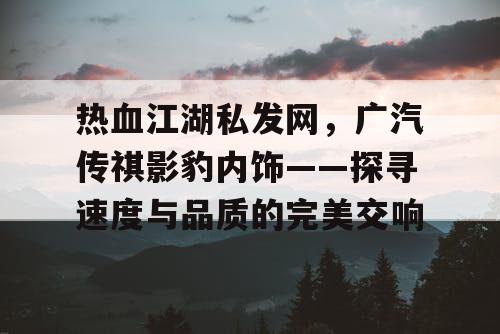 热血江湖私发网，广汽传祺影豹内饰——探寻速度与品质的完美交响