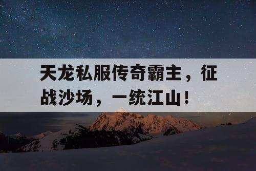 天龙私服传奇霸主，征战沙场，一统江山！