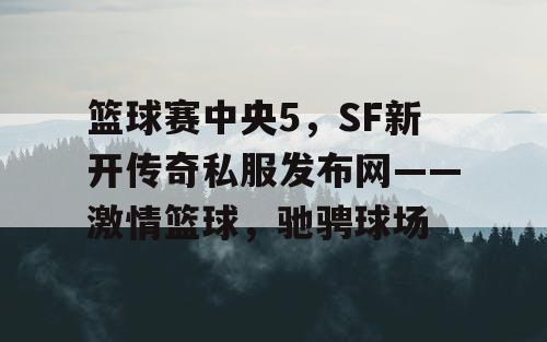 篮球赛中央5，SF新开传奇私服发布网——激情篮球，驰骋球场