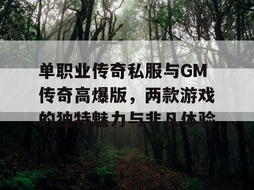 单职业传奇私服与GM传奇高爆版，两款游戏的独特魅力与非凡体验