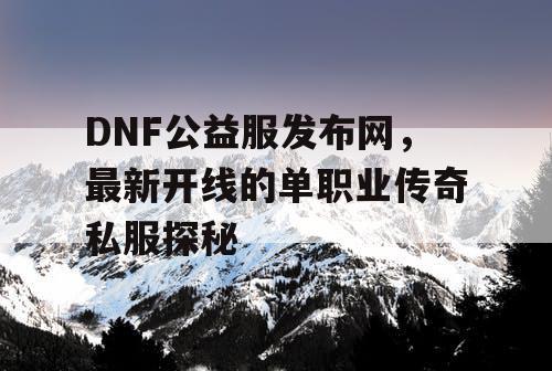 DNF公益服发布网，最新开线的单职业传奇私服探秘