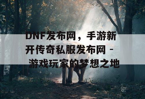 DNF发布网，手游新开传奇私服发布网 - 游戏玩家的梦想之地