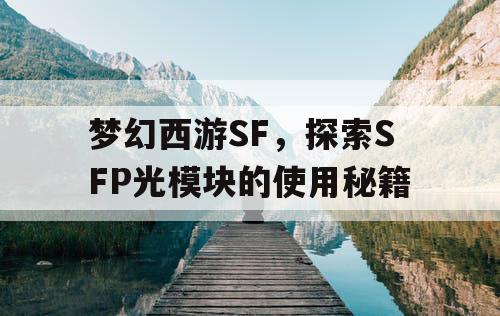 梦幻西游SF，探索SFP光模块的使用秘籍