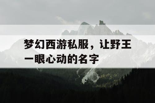 梦幻西游私服，让野王一眼心动的名字