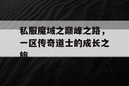 私服魔域之巅峰之路，一区传奇道士的成长之旅