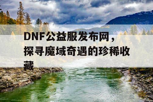 DNF公益服发布网，探寻魔域奇遇的珍稀收藏