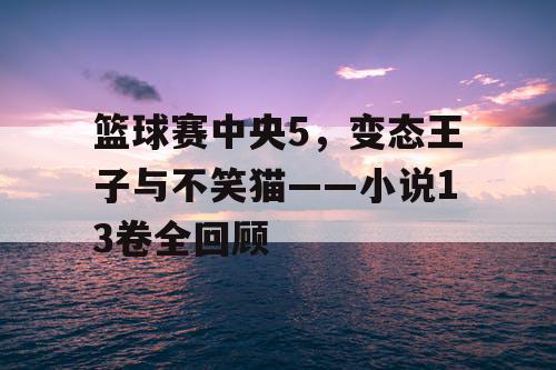 篮球赛中央5，变态王子与不笑猫——小说13卷全回顾