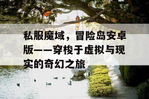 私服魔域，冒险岛安卓版——穿梭于虚拟与现实的奇幻之旅