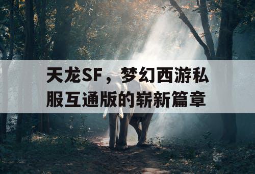 天龙SF，梦幻西游私服互通版的崭新篇章