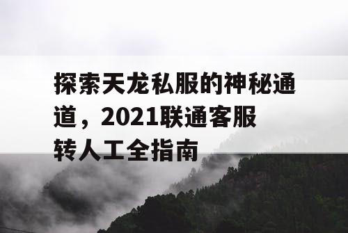 探索天龙私服的神秘通道，2021联通客服转人工全指南