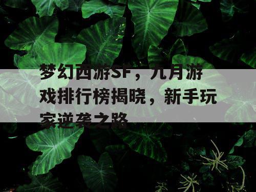 梦幻西游SF，九月游戏排行榜揭晓，新手玩家逆袭之路