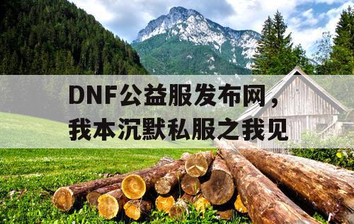 DNF公益服发布网，我本沉默私服之我见