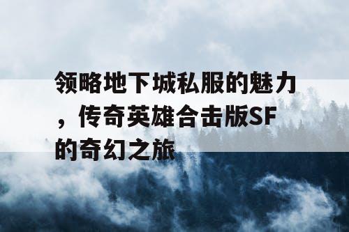 领略地下城私服的魅力，传奇英雄合击版SF的奇幻之旅