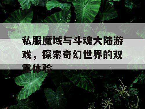 私服魔域与斗魂大陆游戏，探索奇幻世界的双重体验