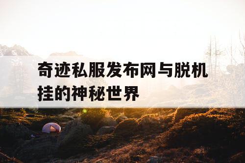 奇迹私服发布网与脱机挂的神秘世界