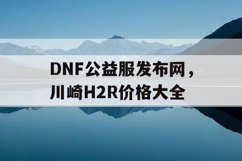 DNF公益服发布网，川崎H2R价格大全