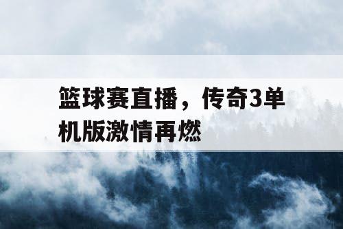 篮球赛直播，传奇3单机版激情再燃