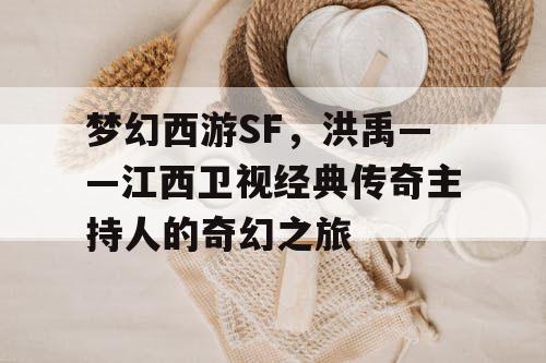 梦幻西游SF，洪禹——江西卫视经典传奇主持人的奇幻之旅