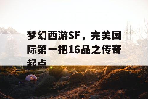 梦幻西游SF，完美国际第一把16品之传奇起点