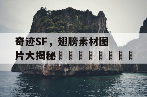 奇迹SF，翅膀素材图片大揭秘💫🦅