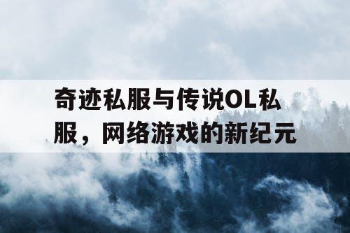 奇迹私服与传说OL私服，网络游戏的新纪元