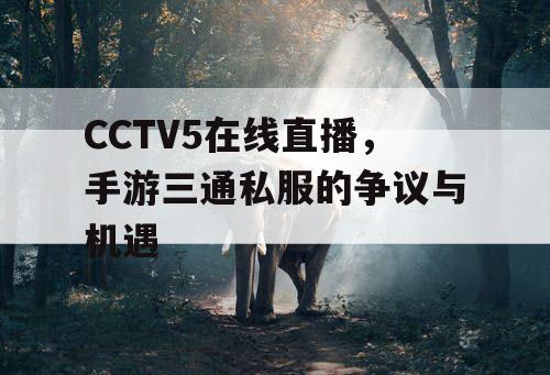 CCTV5在线直播，手游三通私服的争议与机遇