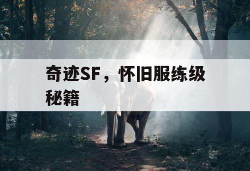 奇迹SF，怀旧服练级秘籍