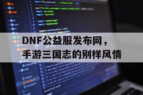 DNF公益服发布网，手游三国志的别样风情