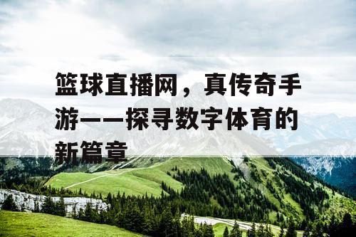 篮球直播网，真传奇手游——探寻数字体育的新篇章