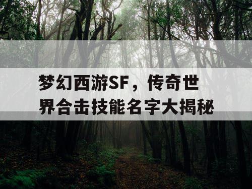 梦幻西游SF，传奇世界合击技能名字大揭秘