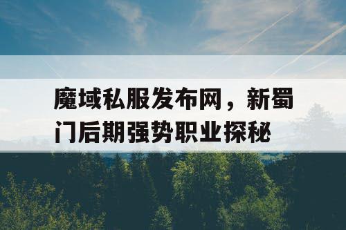 魔域私服发布网，新蜀门后期强势职业探秘