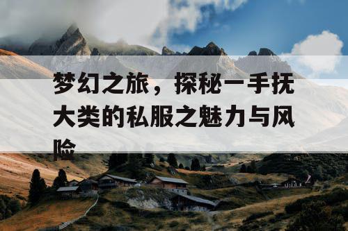 梦幻之旅，探秘一手抚大类的私服之魅力与风险