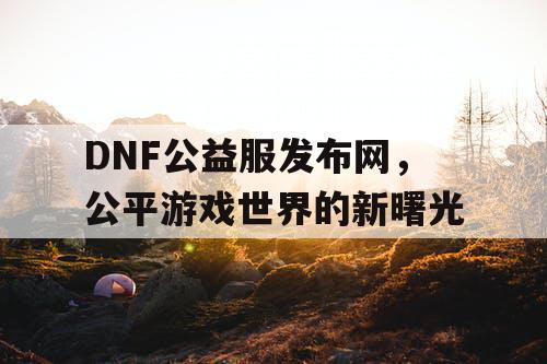 DNF公益服发布网，公平游戏世界的新曙光