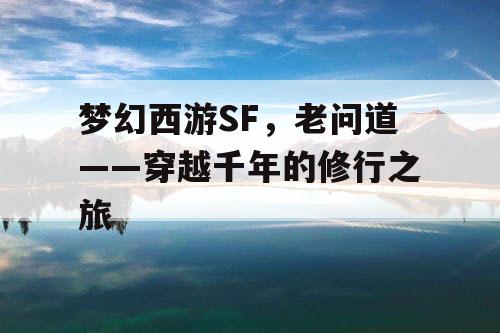 梦幻西游SF，老问道——穿越千年的修行之旅