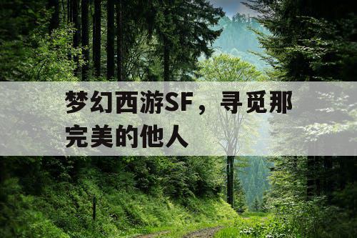 梦幻西游SF，寻觅那完美的他人