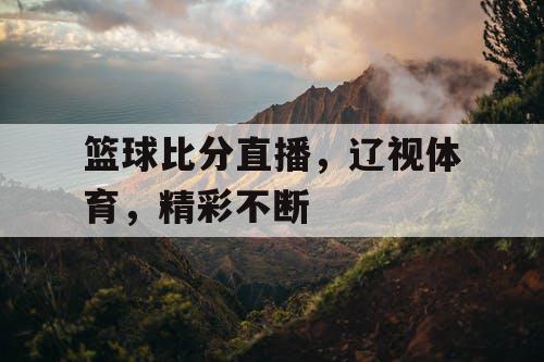 篮球比分直播，辽视体育，精彩不断
