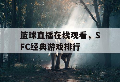 篮球直播在线观看，SFC经典游戏排行